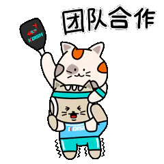 Animated sticker of both cats with a paddle, captioned 团队合作, teamwork